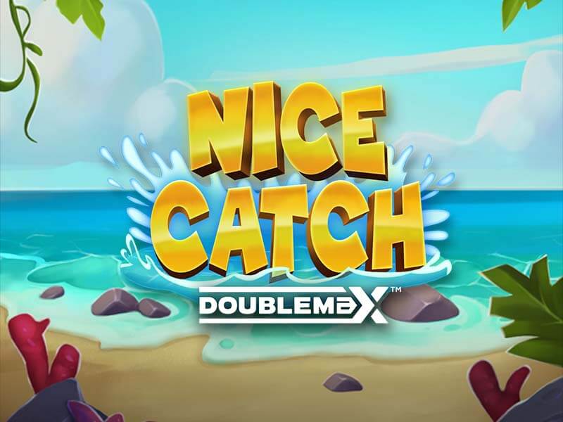 Banner do Torneio Nice Catch Doublemax - Jogo do Tigrinho que ganha dinheiro